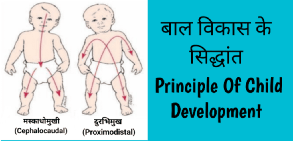 बाल विकास की अवस्थाएँ pdf download| Stages of child development in hindi
